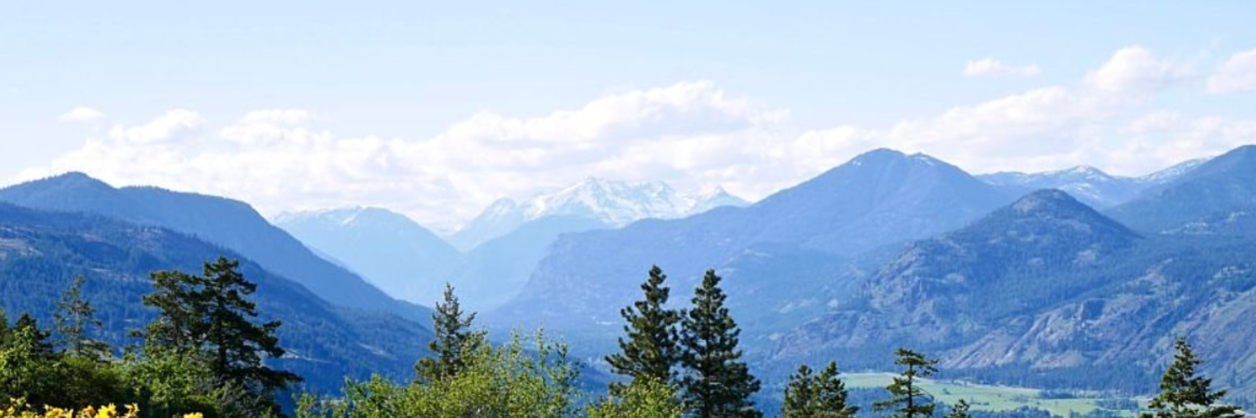 Header banner of trees and mountains
